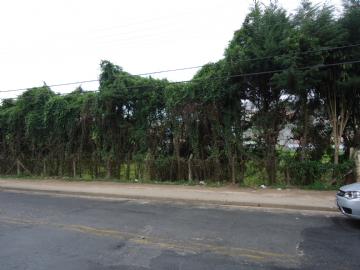 Mogi das Cruzes Mogi das Cruzes/SP