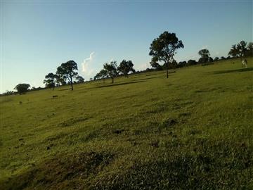 Fazendas Rio Verde de Mato Grosso/MS