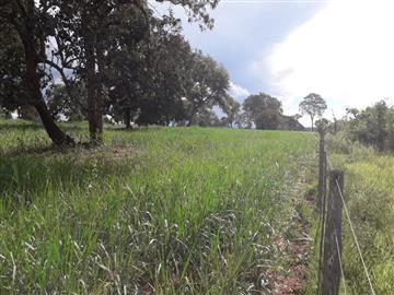 Inocencia Inocencia/MS