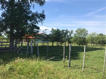 Rio Negro Rio Negro/MS