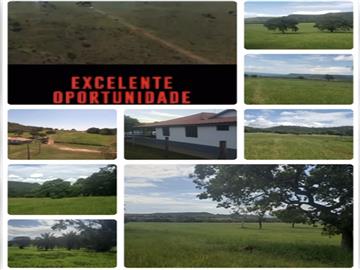 Fazendas Rio Verde de Mato Grosso/MS