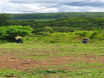 Ponta Pora Ponta Pora/MS