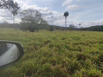 imóvel recente