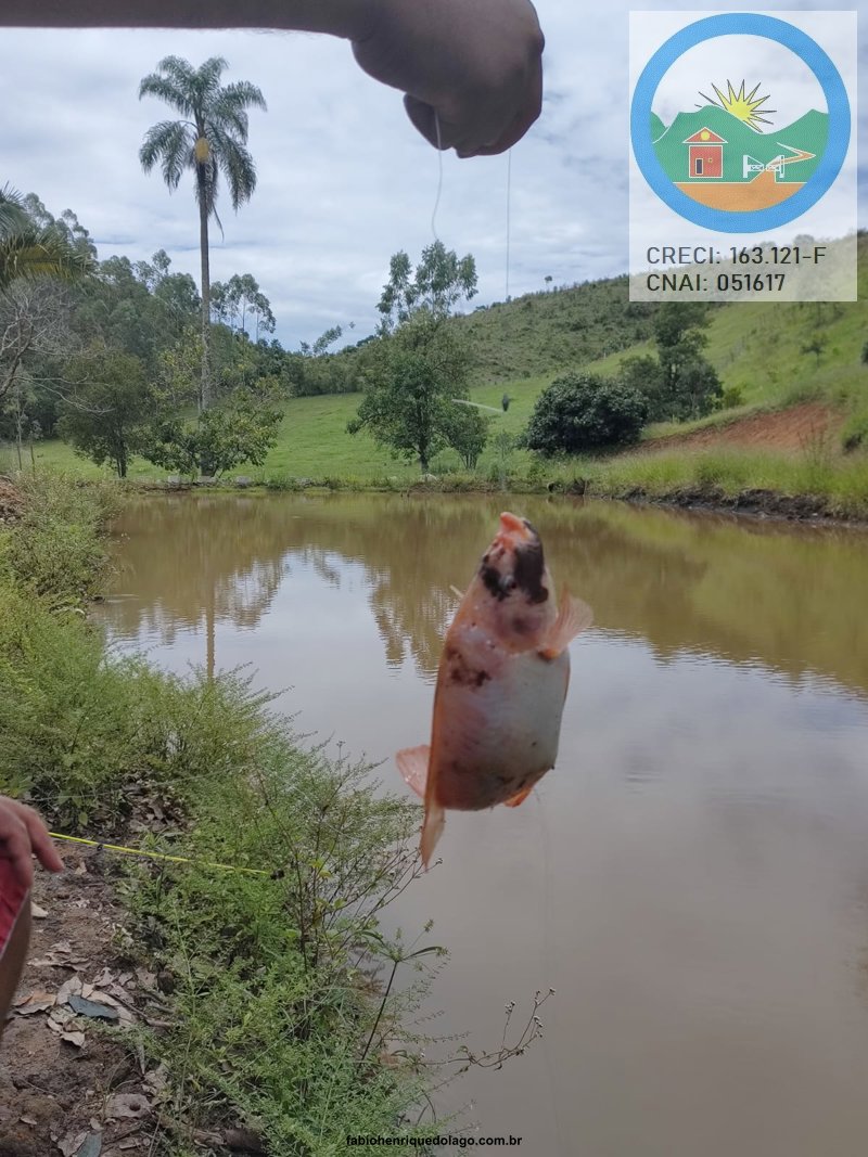 R$         400,00