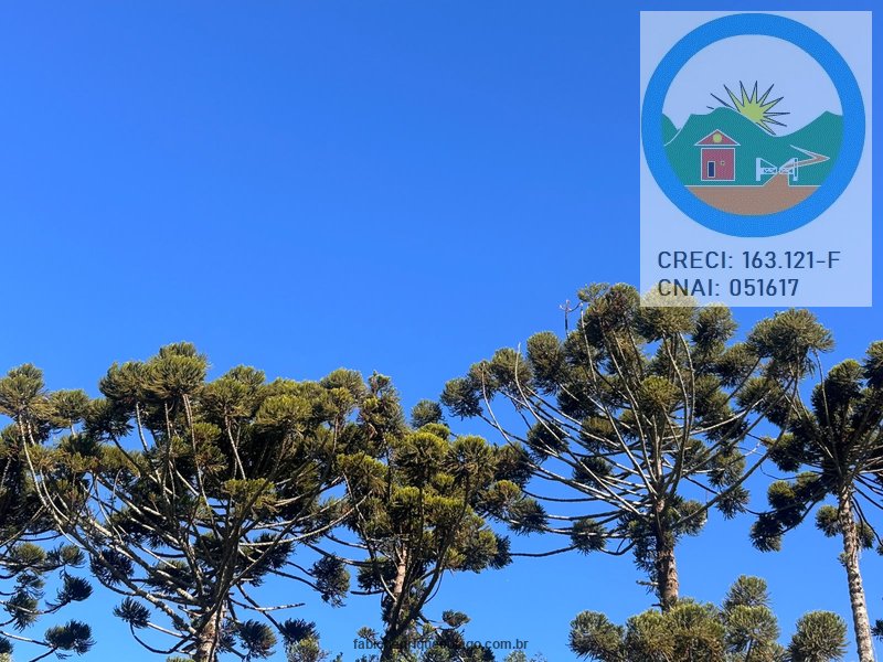 Foto do imóvel Consulte-nos  Linda casa na EcoVila