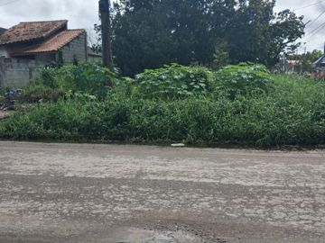 Foto do imóvel Lote Terreno em Itanhaem