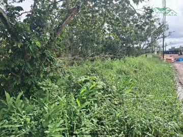 Foto do imóvel Lote Terreno em Itanhaem