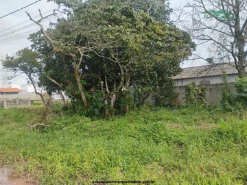 Foto do imóvel Lote Terreno em Itanhaem