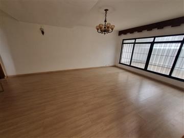 São Paulo São Paulo/SP