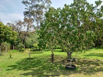 Foto do imóvel Chácara Fazenda Sítio em Boituva