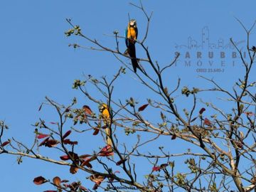 Foto do imóvel Chácara Fazenda Sítio em Boituva