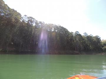 Image Description