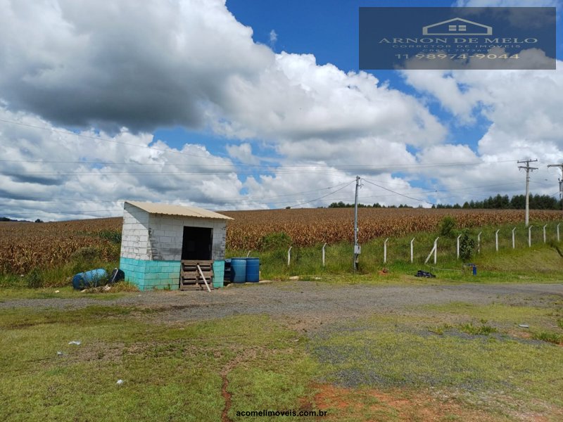 Depósito-Galpão, 6467 m² - Foto 10