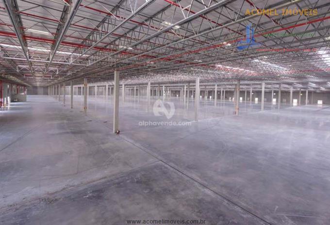 Depósito-Galpão-Armazém para alugar, 12400m² - Foto 12